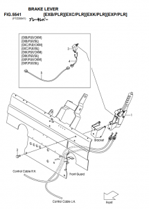 FIG5541